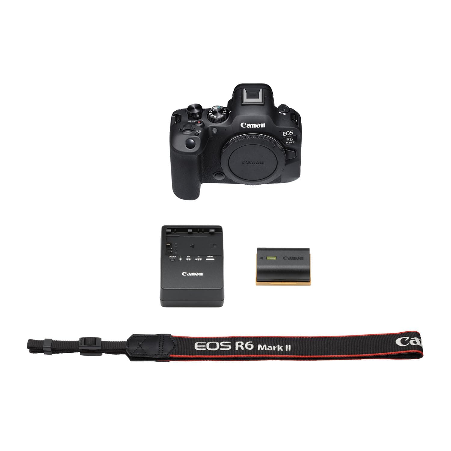 Canon EOS R6 Mark II Mirrorless Camera (Body Only), Full-Frame Camera, 24.2 Megapixel CMOS Sensor, Photo and Video Capabilities, Black, view 10