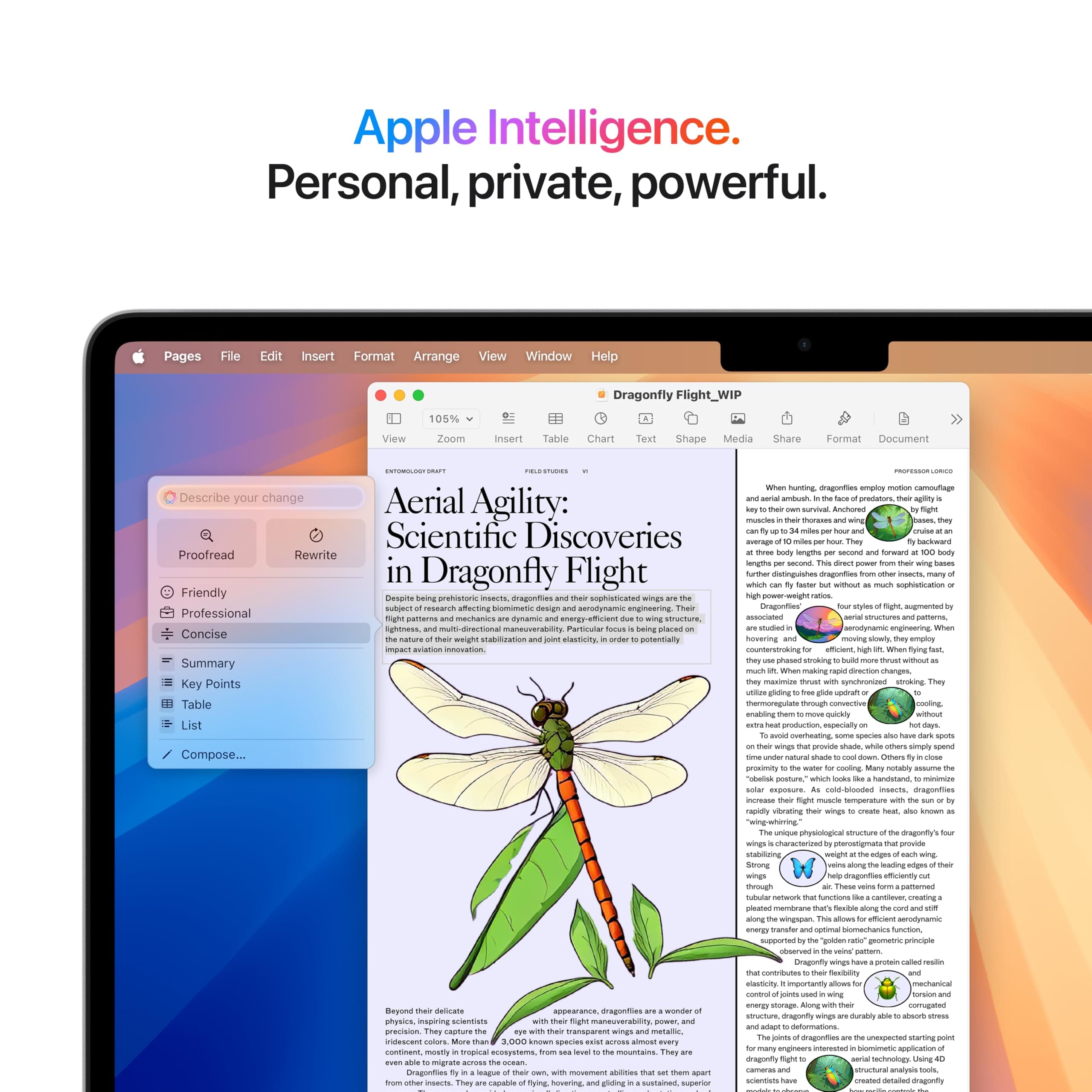 Apple 2025 MacBook Air 13-inch Laptop with M4 chip: Built for Apple Intelligence, 13.6-inch Liquid Retina Display, 16GB Unified Memory, 256GB SSD Storage, 12MP Center Stage Camera, Touch ID; Midnight, view 5