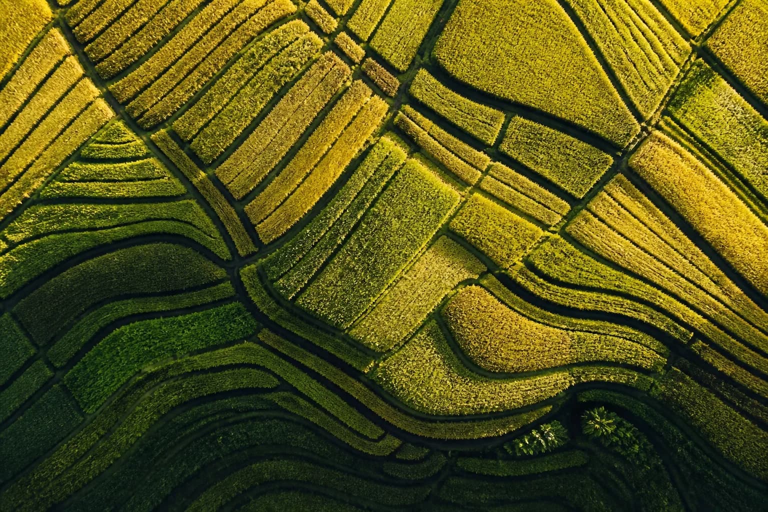 Abstract green verdict evidence texture