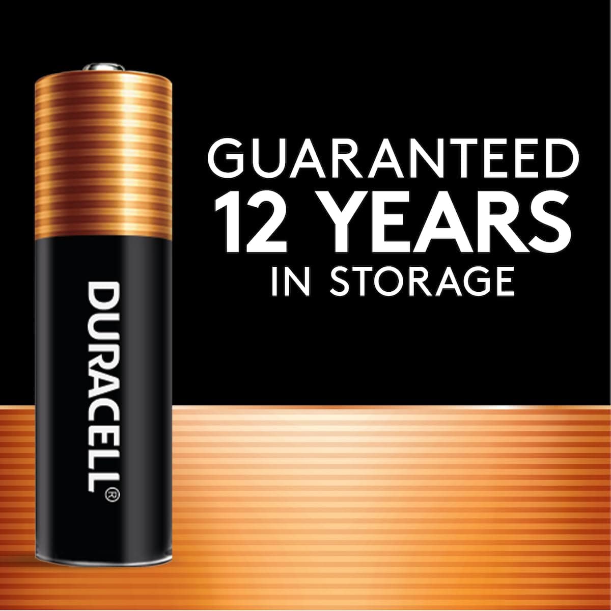 Duracell Coppertop AAA Batteries, 24 Count, 12-Year Shelf Life, view 5