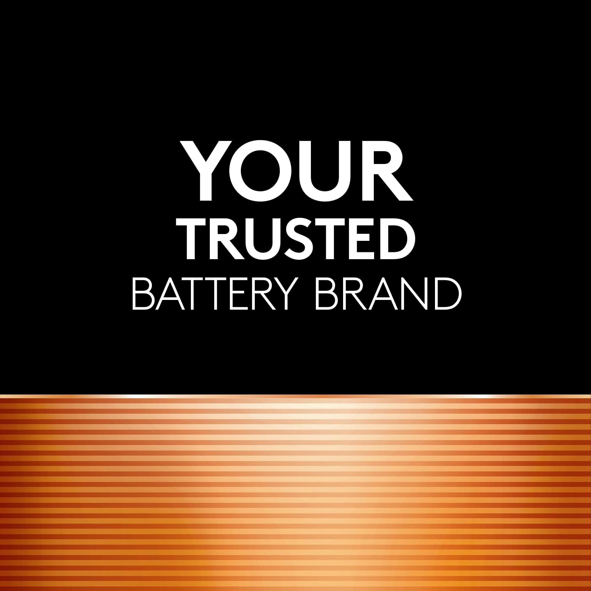 Duracell Coppertop AAA Batteries, 24 Count, 12-Year Shelf Life, view 6