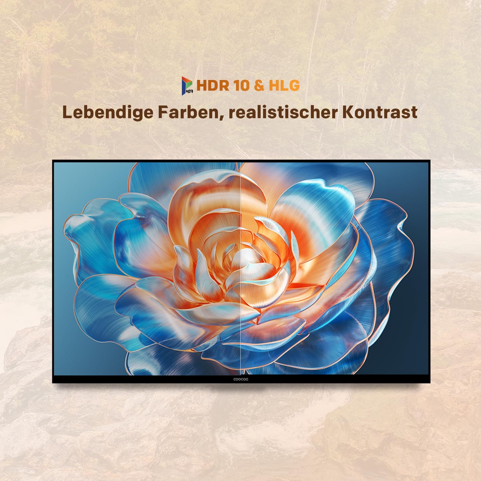coocaa 40 Zoll Fernseher, 100cm, QLED FHD Smart TV, Superior QLED Tech, HDR10, HLG, 1.5GB RAM für flüssiges Streaming, Dolby Audio, Triple Tuner DVB-T/-T2/-C/-S/-S2 CI+,Bluetooth 5.1, 40CTQH38Z, 2026, view 8