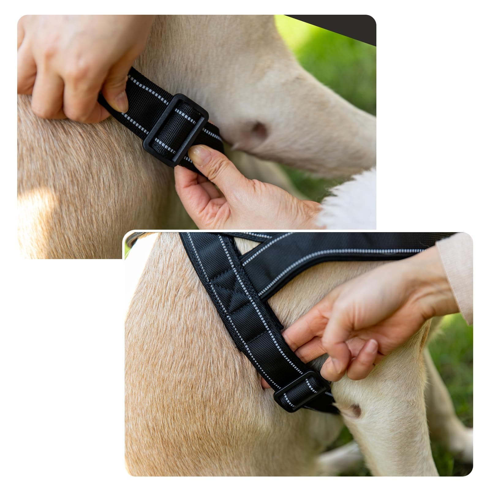Eeyfarog No Pull Hundegeschirr für Kleine Mittelgroße Hunde, Reflektierend Ausbruchsicher Verstellbar ohne Zug(Grün M), view 8