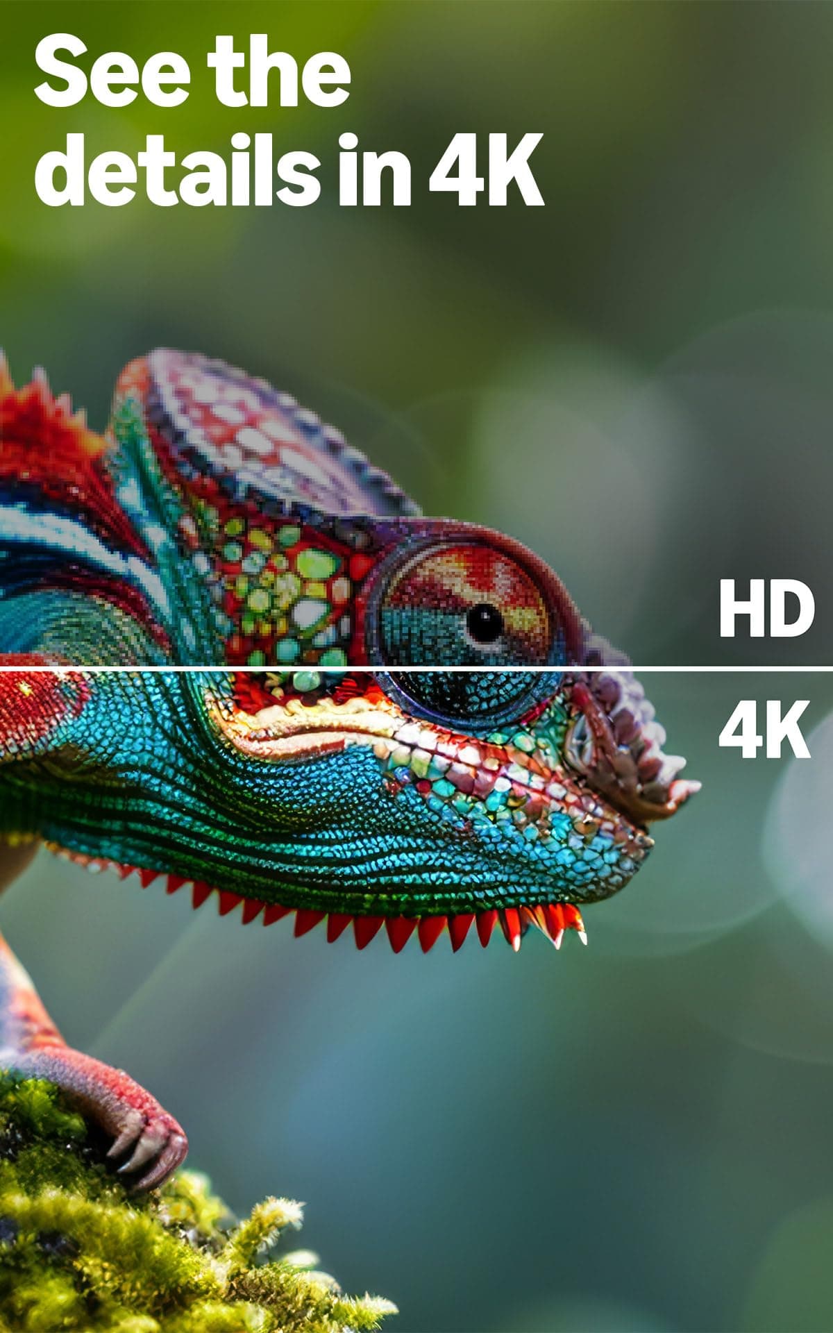 Amazon Ember 50" 4-Series with Fire TV (newest model), 4K Ultra HD smart TV with Alexa Remote, HDR10+, fast processor, Dolby Audio, Ambient Experience, free and live TV, find shows faster with Alexa+, view 5