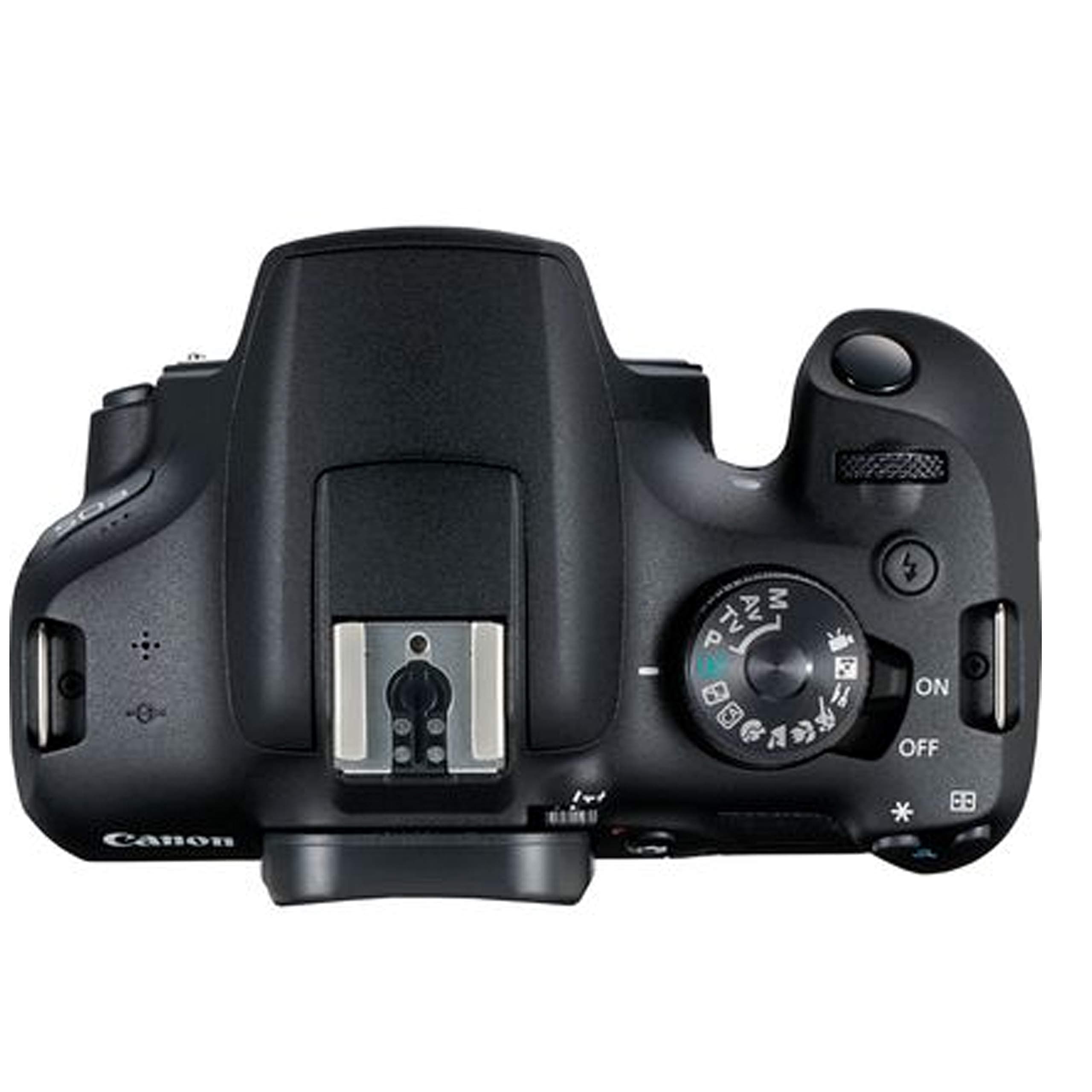 Canon EOS 2000D / Rebel T7 DSLR Camera w/EF-S 18-55mm F/3.5-5.6 Zoom Lens + 64GB Memory, LED Video Light, Case, Gripster Tripod, and More (Essential Bundle) (Renewed), view 7