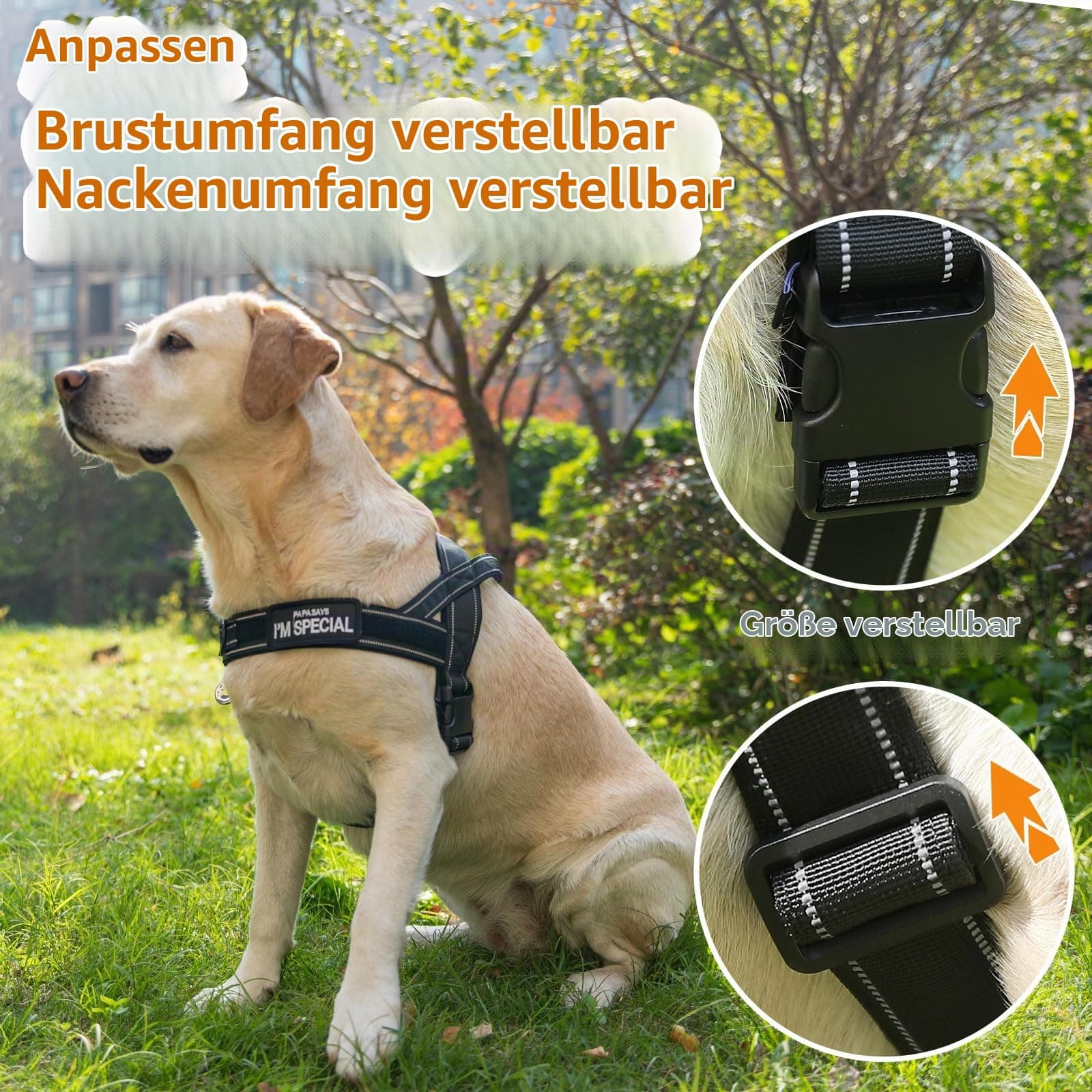 Eeyfarog No Pull Hundegeschirr für Kleine Mittelgroße Hunde, Reflektierend Ausbruchsicher Verstellbar ohne Zug(Grün M), view 7