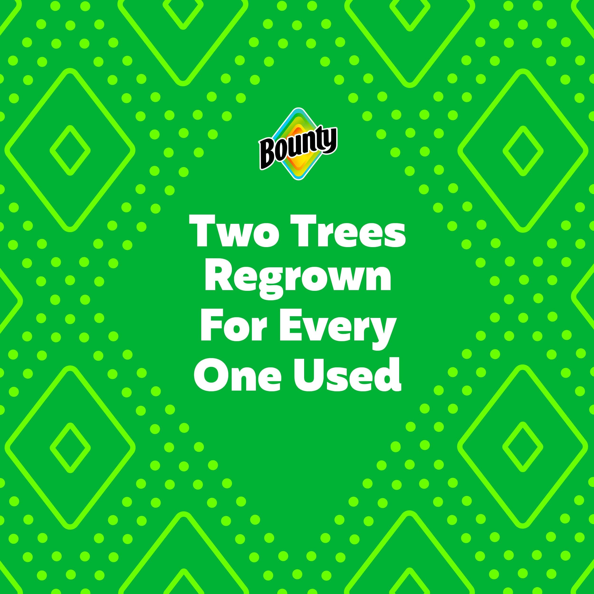 Bounty Essentials Select-A-Size Paper Towels, White, 2 Triple Rolls = 6 Regular Rolls (Packaging May Vary), view 13