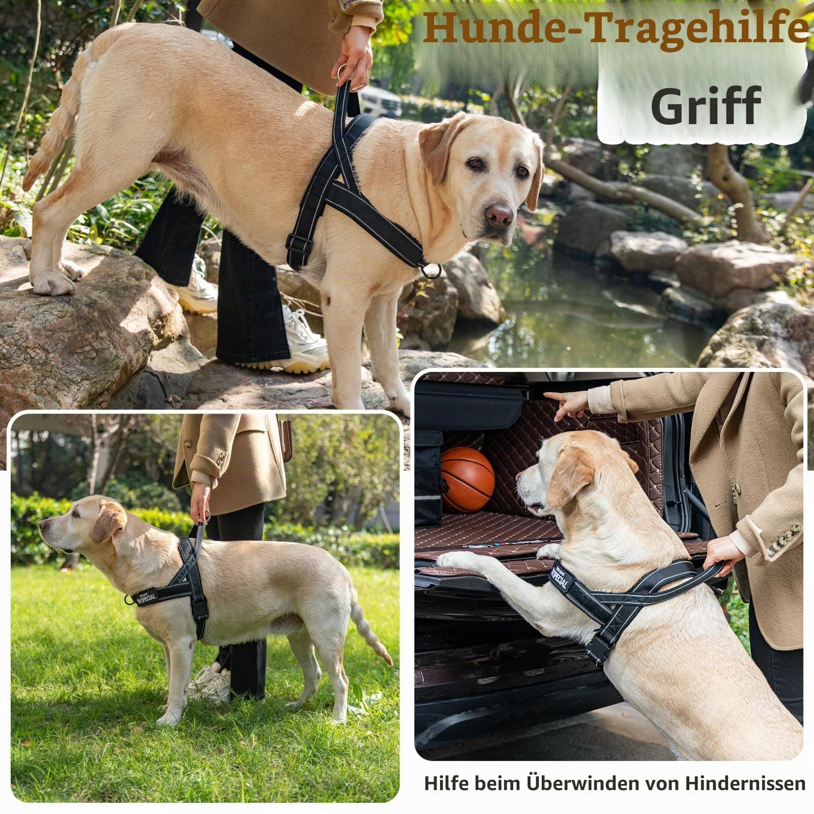 Eeyfarog No Pull Hundegeschirr für Kleine Mittelgroße Hunde, Reflektierend Ausbruchsicher Verstellbar ohne Zug(Grün M), view 2