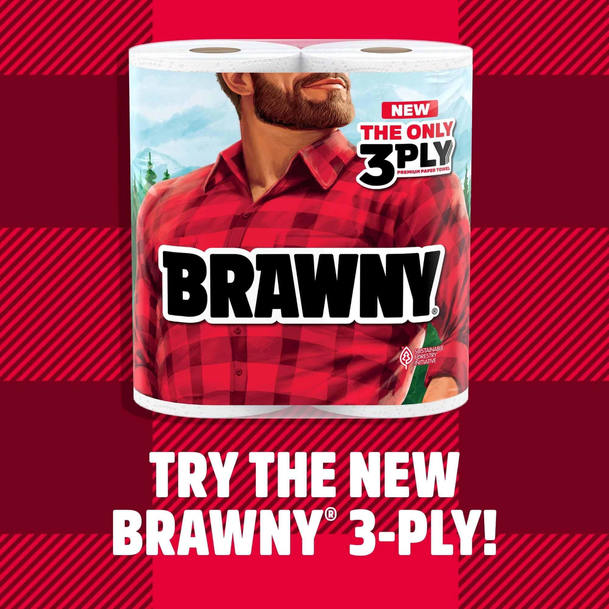 Brawny Tear-A-Square Paper Towels, 2 Double Rolls = 4 Regular Rolls, 3 Sheet Sizes (Quarter, Half, Full), Strength for All Messes, Cleanups, and Meal Prep, view 2