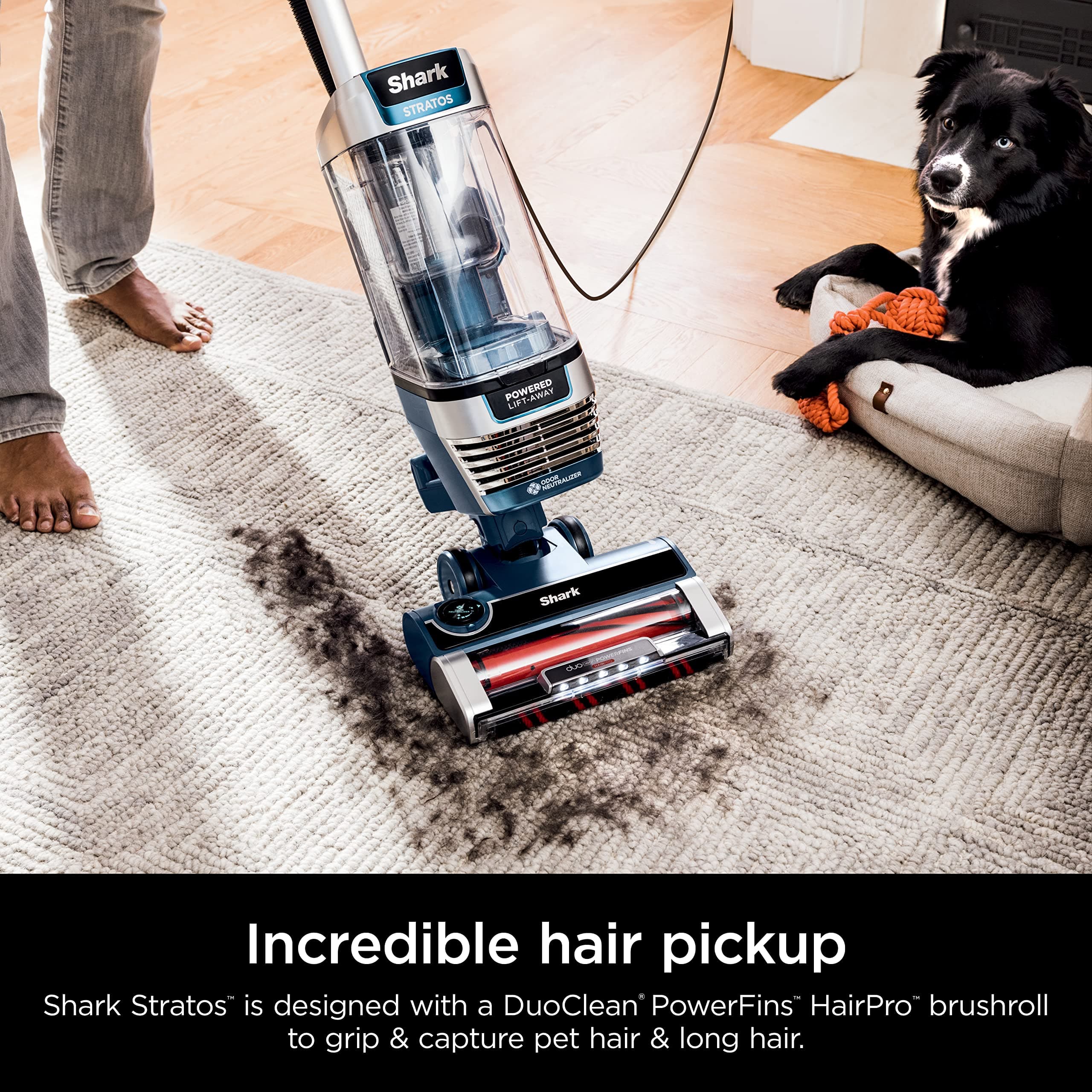 Shark AZ3002 Stratos Upright Vacuum with DuoClean PowerFins, HairPro, Powered Lift-Away, Self-Cleaning Brushroll, & Odor Neutralizer Technology, Navy (Renewed), view 6